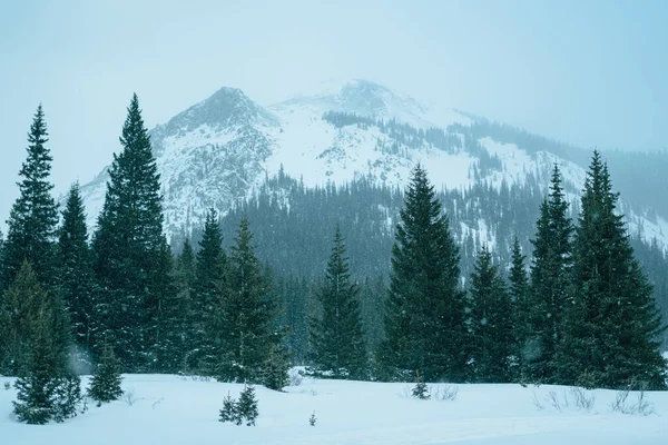 Karlı dağ manzarası, Montezuma, Colorado