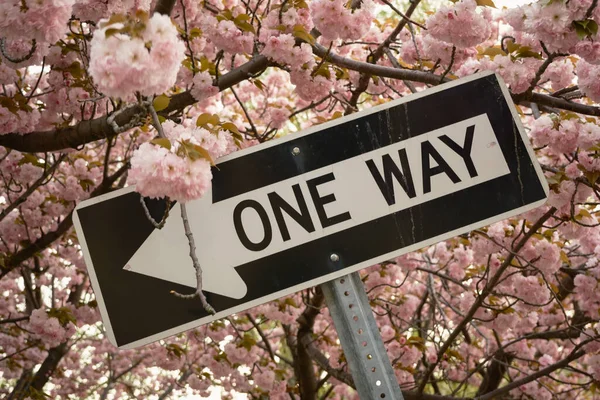 One Way Sign Cherry Blossoms Cold Spring New York — Stock Photo, Image