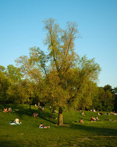 People sitting in the grass on a spring evening, Prospect Park, Brooklyn, New York