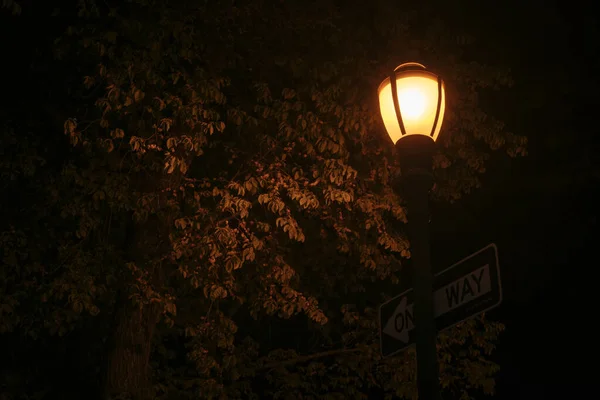 Streetlamp One Way Sign Crown Heights Brooklyn New York — Stock Photo, Image