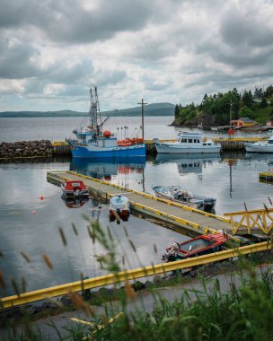 View of boats in the harbor of Dildo, Newfoundland and Labrador, Canada