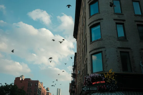 Soho Manhattan New York Kuşlar Binalar — Stok fotoğraf