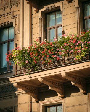 Centrs, Riga, Letonya 'da bir balkonda çiçekler