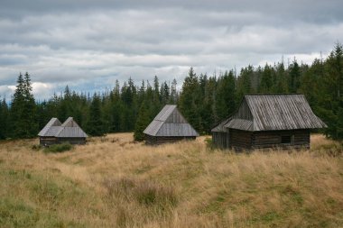 Polonya 'nın Zakopane kentindeki Kopieniec Wielki' deki eski kulübeler.