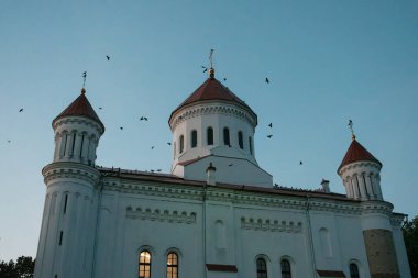 Vilnius, Litvanya 'daki Theotokos Ortodoks Katedrali