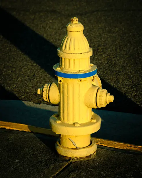 Žlutý Požární Hydrant Wytheville Virginii Royalty Free Stock Fotografie