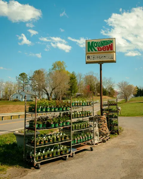 Vintage Mountain Dew Sign Produce Greenhouse Cana Virginia Stock Picture