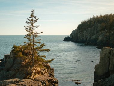 Cliffs at Quoddy Head State Park, Lubec, Maine clipart