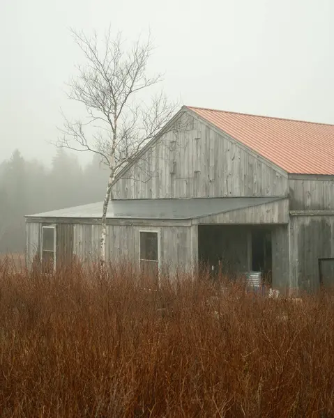 Eine Scheune Nebel Auf Beals Island Maine lizenzfreie Stockbilder