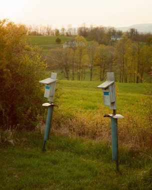 Burger Hill, Rhinebeck, New York 'taki Drayton Grant Park' taki kuş evleri.