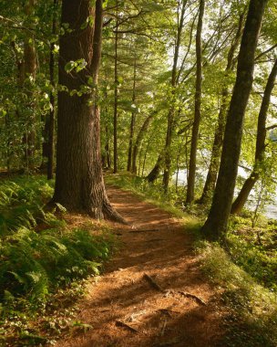 Marlborough, Massachusetts 'teki Sudbury Rezervuarı' nda akşam ışığı olan Körfez Pisti.