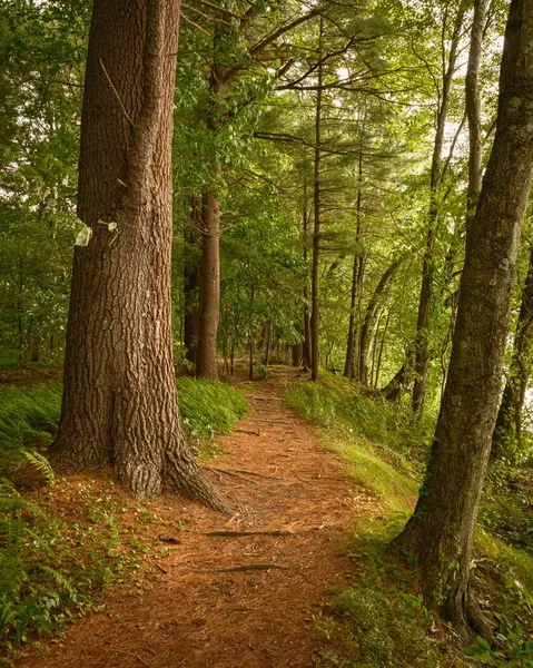 Sudbury Reservoir, Massachusetts Körfez Pisti