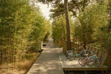 Fair Harbor, Fire Island, New York 'ta bir yürüyüş yolu.