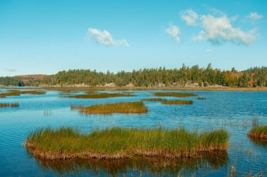 View of Tupper Lake in the Adirondack Mountains, New York clipart