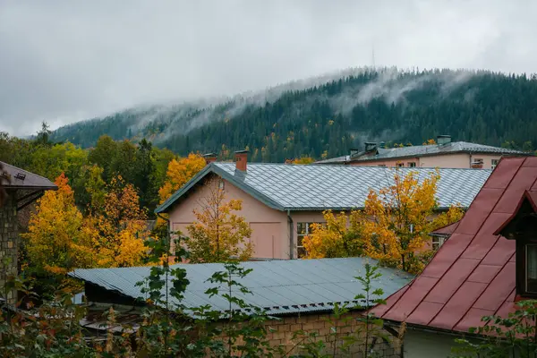 Polonya 'nın Zakopane kentindeki sonbahar renkleri ve dağların üzerindeki sis manzarası