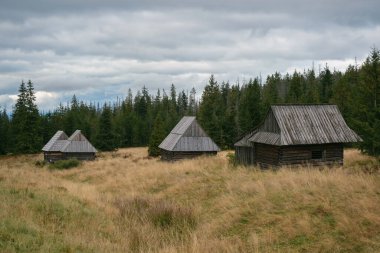 Polonya 'nın Zakopane kentindeki Kopieniec Wielki' deki eski kulübeler.