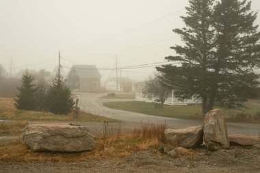 A foggy scene on Beals Island, Maine clipart