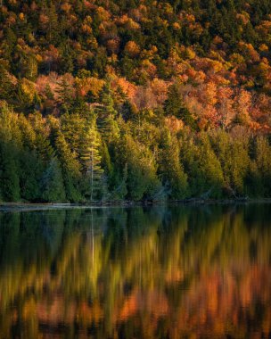 Adirondack Dağları, New York 'taki Owen Pond' a yansıyan sonbahar renkleri