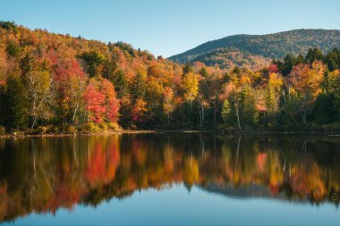Adirondack Dağları 'ndaki Tupper Gölü' nde sonbahar rengi, New York