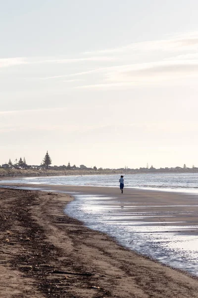 Waikanae Sahili, Kapiti 'de bir kadın, günün erken saatlerinde, Paraparaumu' nun güneyine doğru yürüyor..