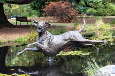  Kuri, Richard Wells 'in 3.6 metrelik köpek heykeli Queenstown Botanik Bahçeleri' ndeki gölete atladı..  