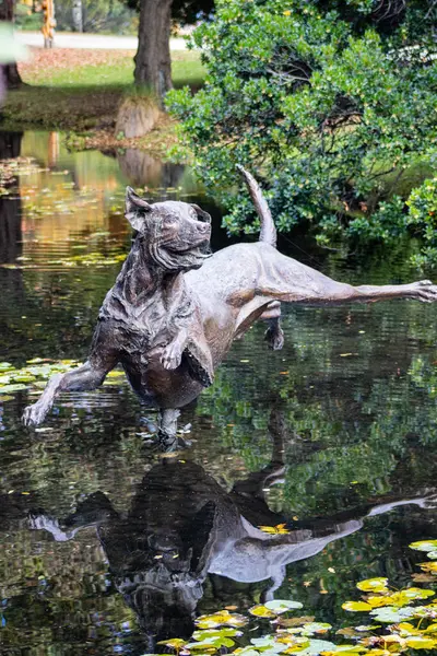 stock image  Kuri, a 3.6 metre dog sculpture, by Richard Wells, leaping in to the pond at Queenstown Botanical Gardens.  