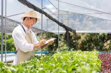 Hidrofonik sebze konsepti, Asyalı adam hidroponik marul yetiştirme deneylerine not alıyor..