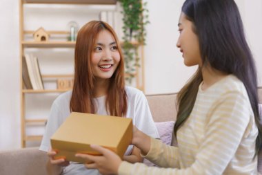 Ev konseptinde rahatlayın, LGBT lezbiyen kadın kız arkadaşından hediye paketi alırken gülümsüyor.