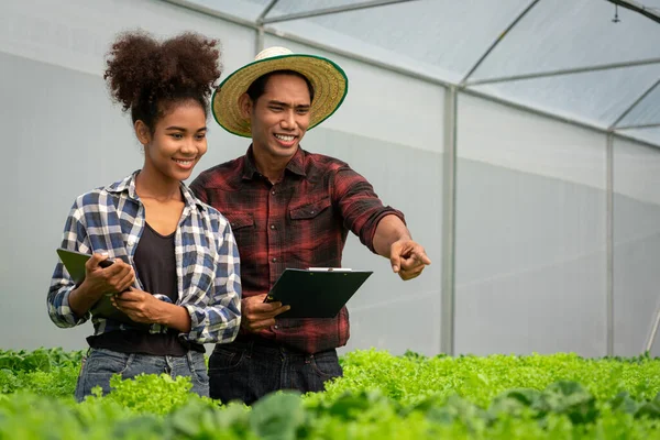 African american couple reading document and examine growth of vegetable in hydroponics greenhouse.