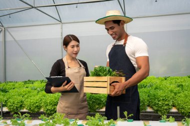Afro-Amerikalı çift panoda siparişleri kontrol ediyor ve salata sebzeli hidroponik kutusunu tutuyor..