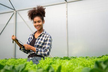 Afrikalı Amerikalı bir kadın hidroponik serasında sebzelerin kalitesini ölçüyor ve notlar yazıyor..