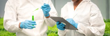 İki bilim adamı hidroponik sebzeleri araştırmak için tablet üzerinde çalışıyor ve ellerinde deney tüpü tutuyorlar..