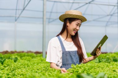 Kadın bahçıvan, yeşil meşe salatasının kalitesini incelemek için hidroponik bahçesinde sebze tableti kullanıyor..