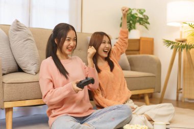 Friendship concept, LGBT lesbian couple making win gesture while playing game with joystick console.