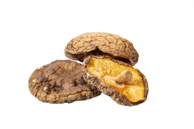 Beyaz arka planda kurutulmuş shiitake mantarı.