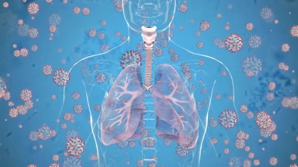 人类肺和呼吸系统 感染病毒 对身体的影响 生物动画 — 图库视频影像