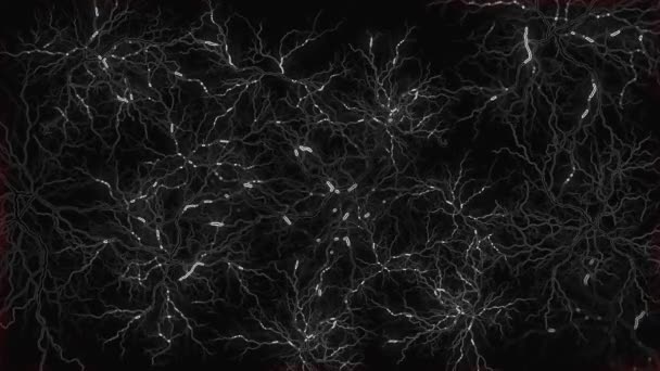Biologiczna Animacja Tkanka Nerwowa Przez Którą Porusza Się Impuls Mózgu — Wideo stockowe