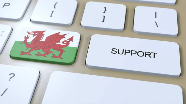 Wales Support Concept Tlačítko Stiskněte Ilustraci Podpora Státu Nebo Vlády — Stock fotografie