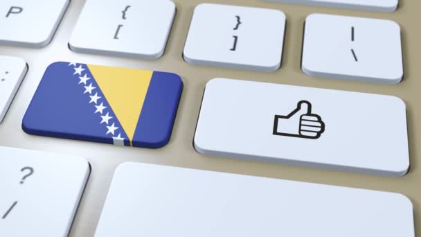 Bosnien Och Hercegovinas Flagga Och Eller Tummen Upp Knappen Animering — Stockvideo
