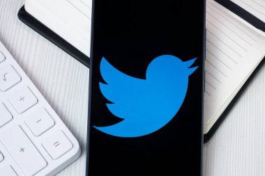 New York, ABD - 30 Haziran 2024: Twitter Logosu Telefon Ekranı, Şirket Simgesi.