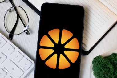 New York, ABD - 1 Haziran 2024: Orange County Bancorp Logosu Telefon Ekranı, Şirket Simgesi.