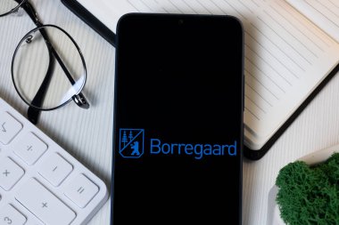 New York, ABD - 11 Haziran 2024: Borregaard Logosu Telefon Ekranı, Şirket Simgesi.