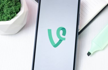 New York, ABD - 1 Ağustos 2024: Telefon Ekranında Vyvymanga Logosu, Görüntü Simgesi.