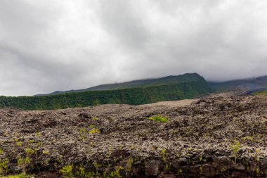 Sainte-Rose, Reunion Island - Le Grand Brule (Big burnt) former lava flow