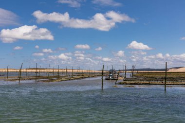 Arcachon, Fransa - Banc d 'Argain' deki istiridye parkı