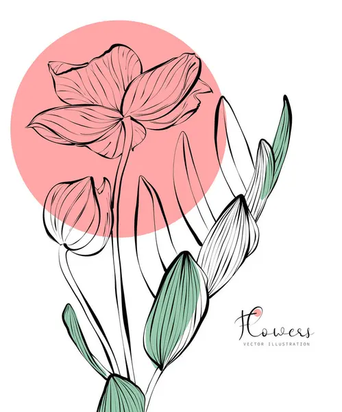 Ilustración Botánica Flores Hojas Para Impresión Embalaje Diseño Plantillas Tarjetas Gráficos Vectoriales