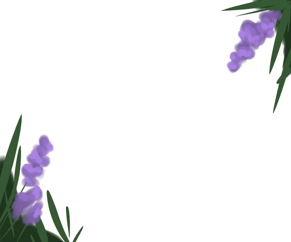 Рамка Иллюстрацией Цветов Лаванды — стоковое фото