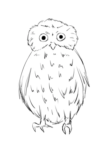 South Boobook Owl Bird Line Art — стокове фото