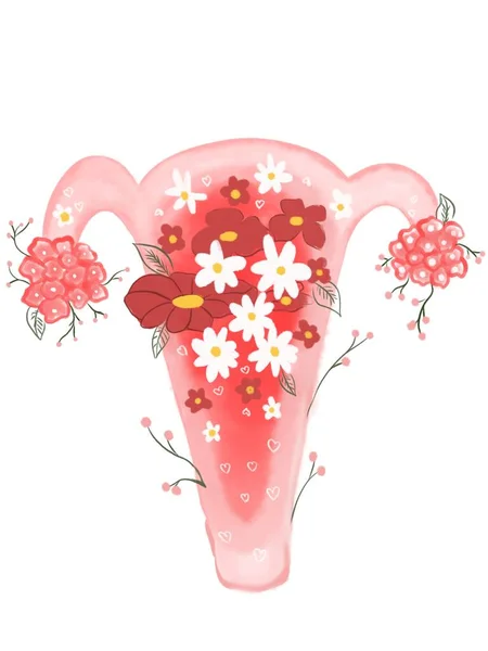 Female Uterus Flowers Illustration — Stock Photo, Image