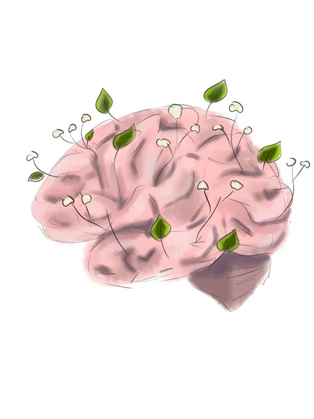 Cerveau Humain Avec Des Feuilles Des Fleurs Illustration — Photo